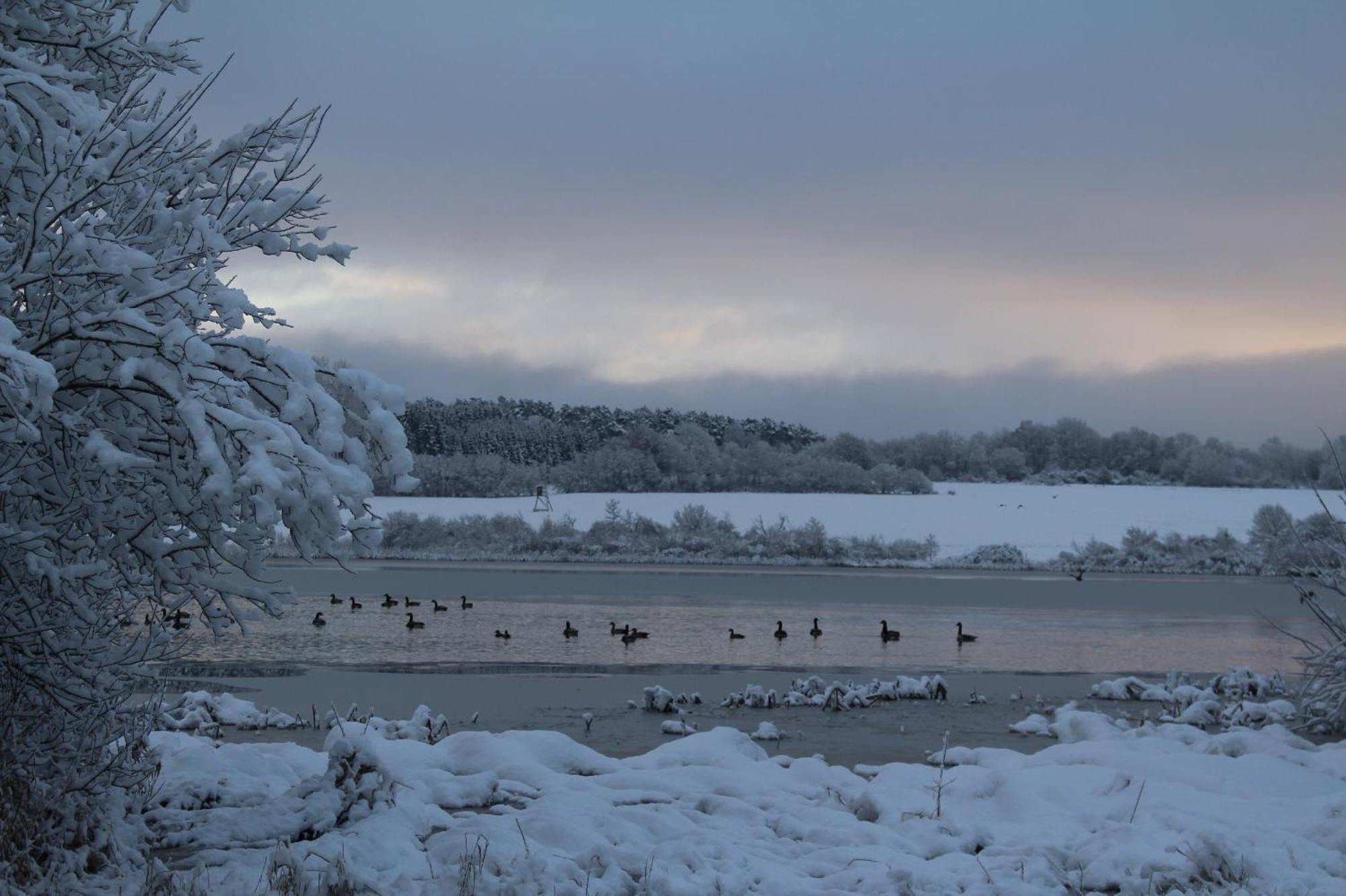 Ferienwohnungen Eifelstuben Mit Charme - Am See, Nahe Burg Ulmen ภายนอก รูปภาพ