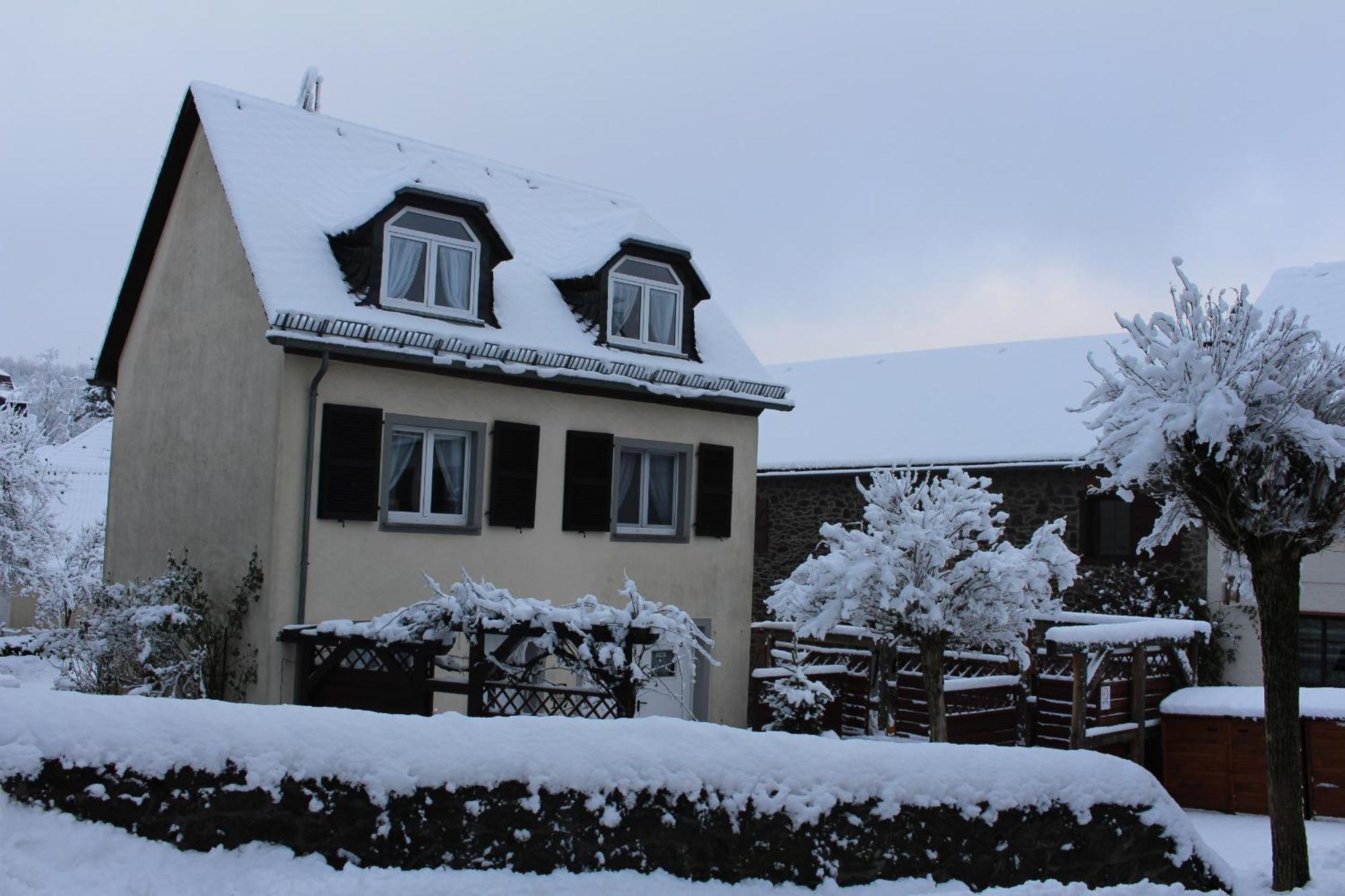 Ferienwohnungen Eifelstuben Mit Charme - Am See, Nahe Burg Ulmen ภายนอก รูปภาพ