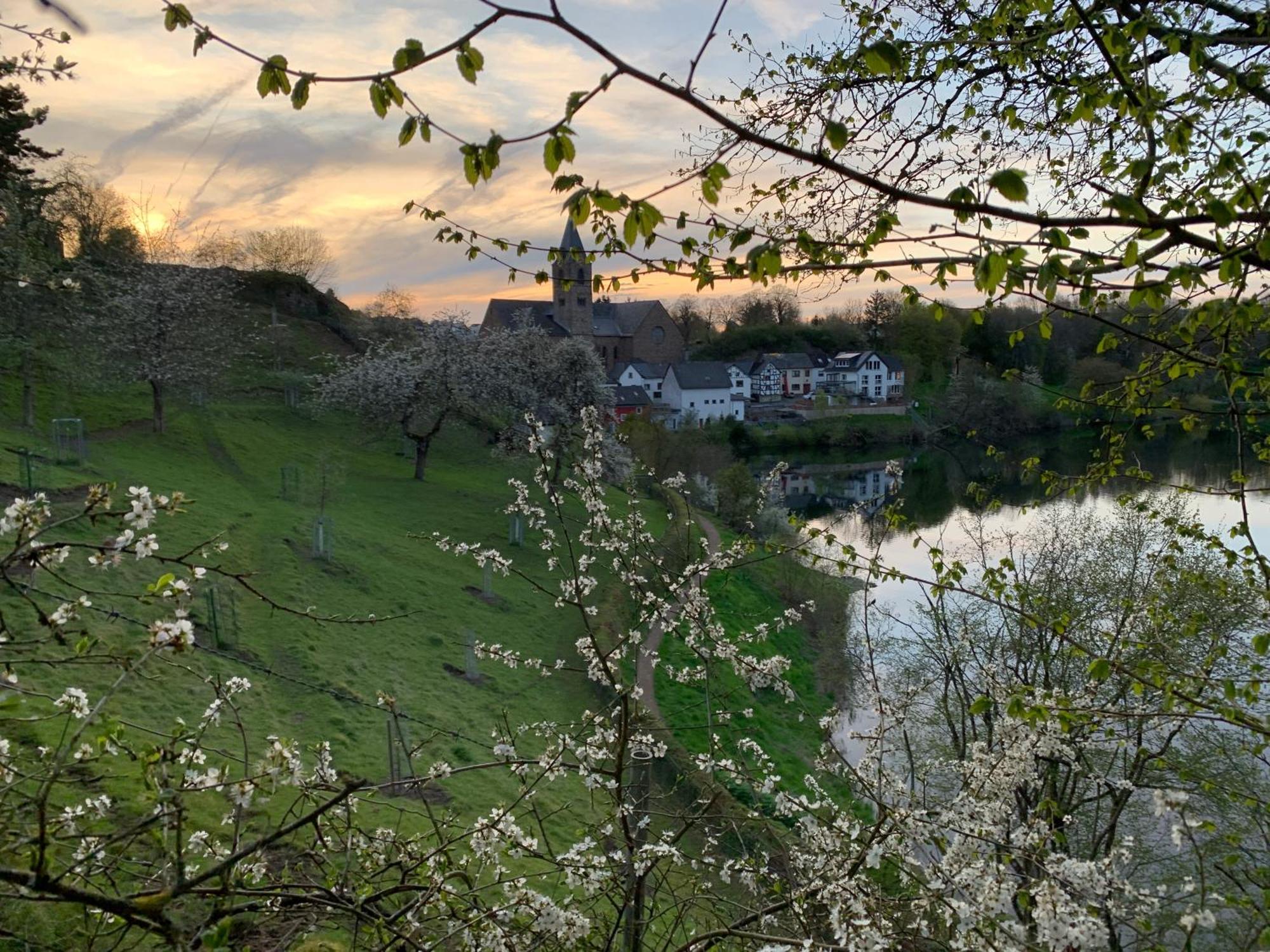 Ferienwohnungen Eifelstuben Mit Charme - Am See, Nahe Burg Ulmen ภายนอก รูปภาพ